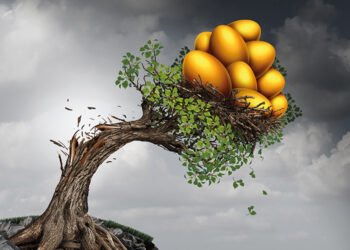 AJ Bell moves towards EM ex-China stance in strategic asset allocation