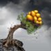 AJ Bell moves towards EM ex-China stance in strategic asset allocation
