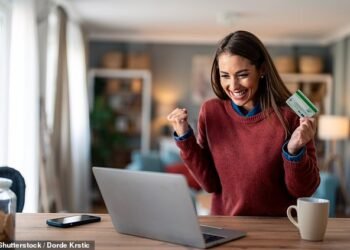 January sales bargain hunters are being warned by a bank to watch out for rogue retailers claiming to offer big discounts (file image)