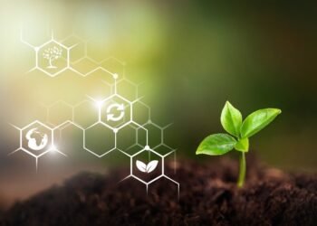 PensionBee unveils Climate Plan that sets standard for climate-focused pensions