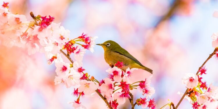 Condé Nast Traveler