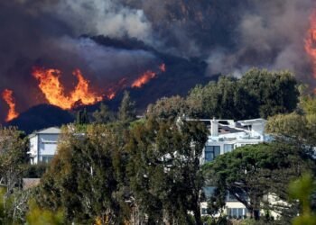 LA wildfires