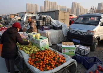 China's consumer inflation quickens in January, producer deflation persists