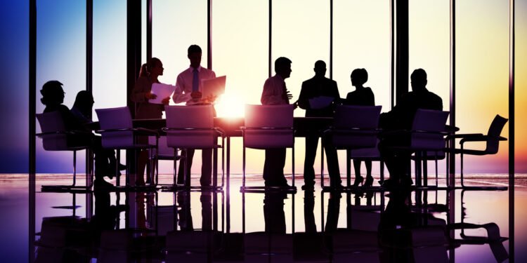 GCP Infrastructure appoints National Wealth Fund exec to board