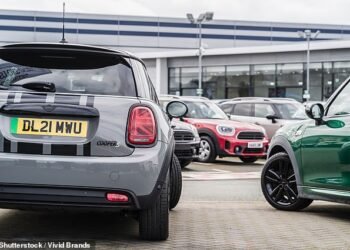 There was a 5.5% rise in used car transactions in 2024 with pre-loved EVs driving growth to take 2.5% share of the market