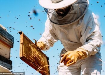 Get the genuine product: Not all honey contains exactly what you'd imagine