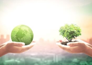 Financial advisers and the SDR labels reality