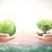 Financial advisers and the SDR labels reality