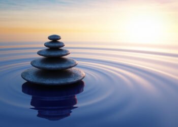 IFISAs offer steady returns