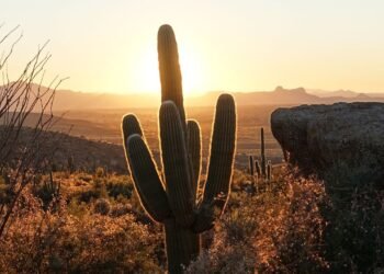 Condé Nast Traveler