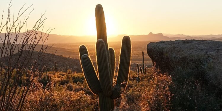 Condé Nast Traveler