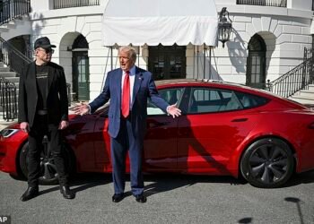 Tesla is facing consumer boycotts from those who dislike Musk's politics after he endorsed Donald Trump and was appointed head of the Department of Government Efficiency (DOGE)