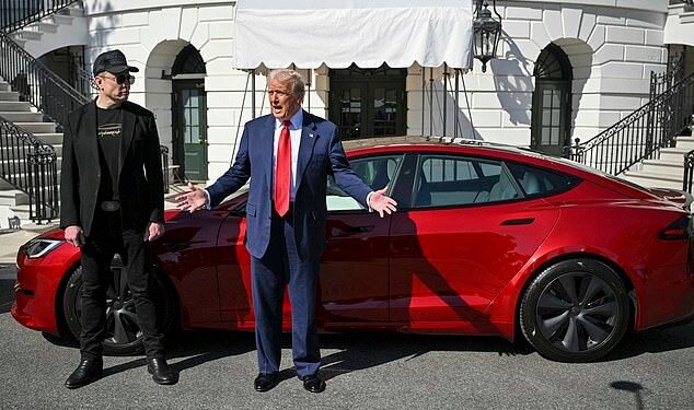 Tesla is facing consumer boycotts from those who dislike Musk's politics after he endorsed Donald Trump and was appointed head of the Department of Government Efficiency (DOGE)