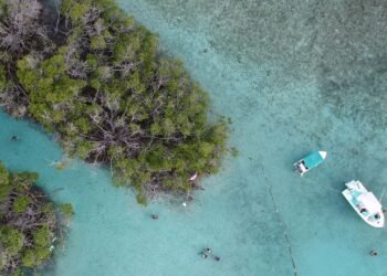 The Best Beaches in Puerto Rico