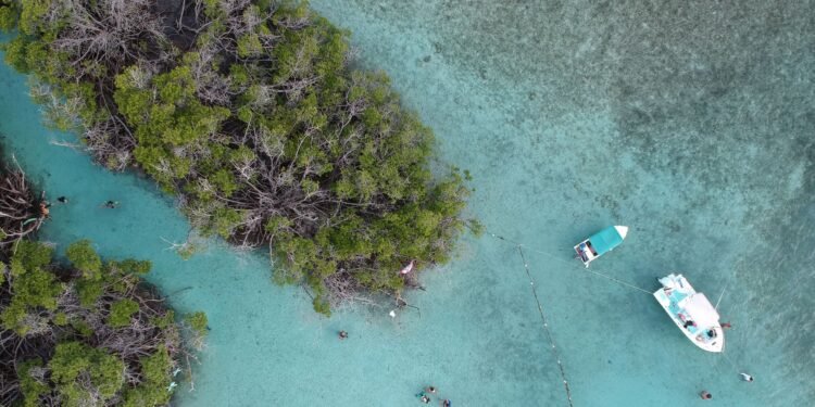 The Best Beaches in Puerto Rico