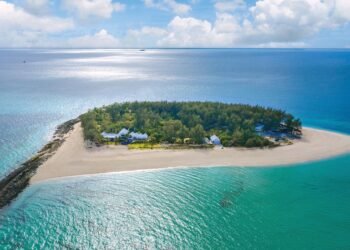 12 Beach Hotels Where Guests Can Participate in Ocean Conservation