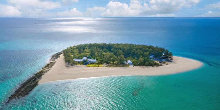 12 Beach Hotels Where Guests Can Participate in Ocean Conservation