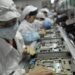 Chinese workers in the Foxconn factory in Shenzhen, in southern China’s Guangdong province