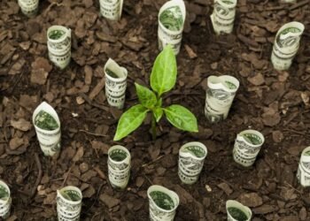 David Boyhan: A growth agenda is good for the consolidation market