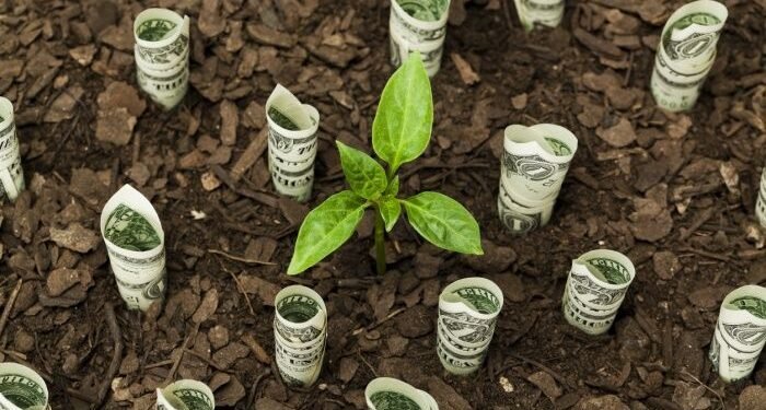 David Boyhan: A growth agenda is good for the consolidation market