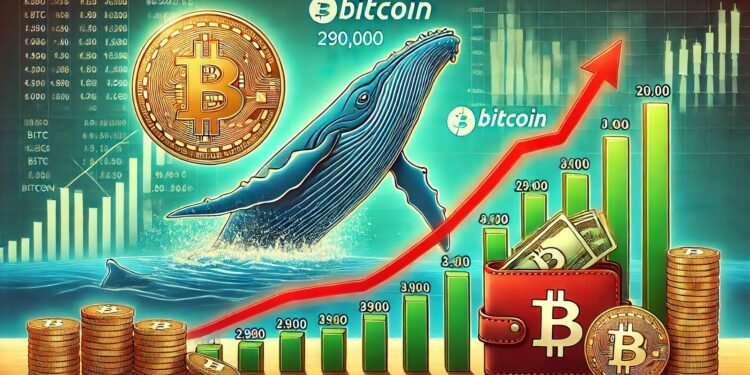 New Bitcoin Whales Emerge In Two Months – Institutional Demand Rising Again?
