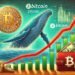 New Bitcoin Whales Emerge In Two Months – Institutional Demand Rising Again?