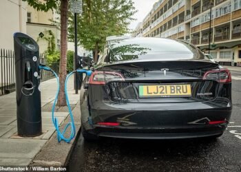 Car finance and leasing companies are losing 'hundreds of millions' of pounds at the hands of the rapid depreciation of electric vehicles, the trade body has warned ministers this month