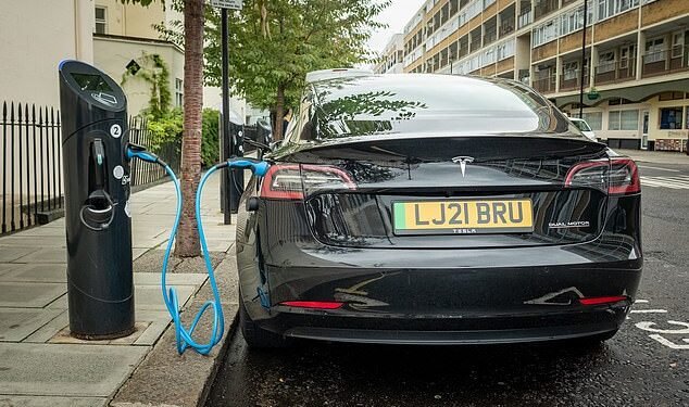Car finance and leasing companies are losing 'hundreds of millions' of pounds at the hands of the rapid depreciation of electric vehicles, the trade body has warned ministers this month