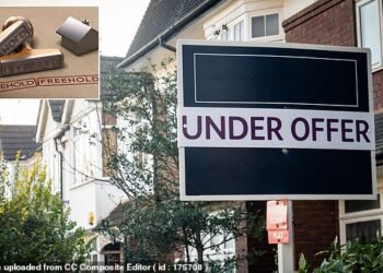 Buyers' remorse: Although our reader has fallen in love with the property, their lawyer has pointed out three issues that mean they're now debating pulling out of the purchase