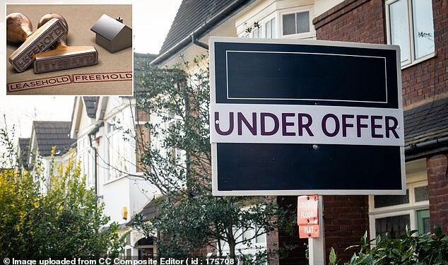 Buyers' remorse: Although our reader has fallen in love with the property, their lawyer has pointed out three issues that mean they're now debating pulling out of the purchase