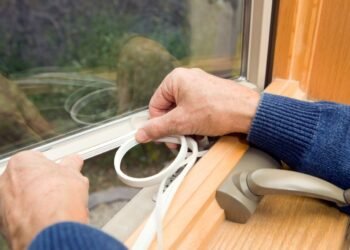 Window, Windowsill, Body Part