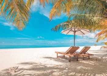 Summer, Fun, Vacation