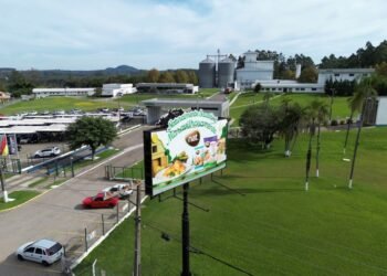 Argentina halts Brazil poultry imports after bird flu outbreak