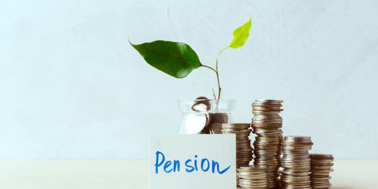 US pension giant Empower has announced it will offer an option to invest in private markets in its retirement plans.