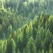Evergreen funds