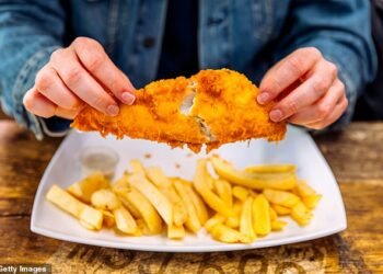 A study in 2019 of fish and chip shops in the South-East found that a significant percentage of meat being sold was 'shark' (file image)