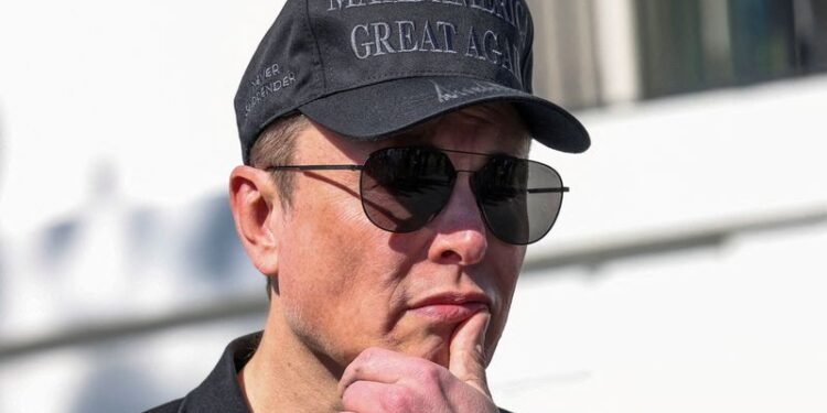 Tesla chair denies plans to look for new CEO to replace Musk