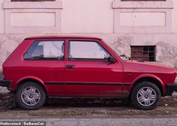 Do you remember this infamous 1980s cheap motor? It is widely reconginised as one of the worst cars ever sold in Britain. But in the next two years, its name is being reborn...