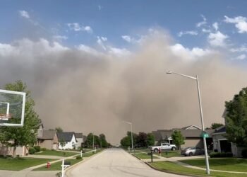 Tornado kills 5 in St Louis, damages 5,000 properties