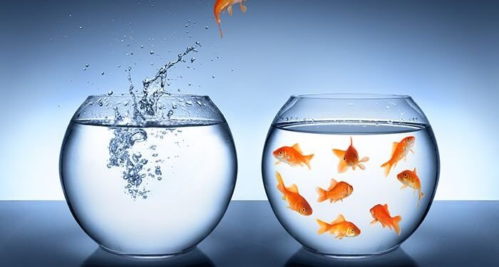 Tribe Impact Capital acquires Snowball Impact Investments