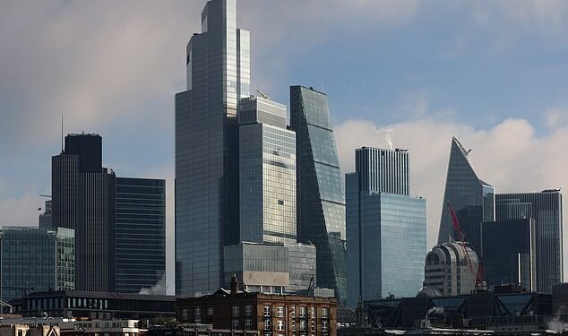 Fools gold: There are too few examples of British firms taking the private equity shilling coming back to the public market in durable shape