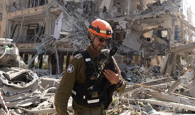 Destruction: However horrible things are, markets have to try to work out what might happen to the economies of different countries