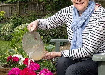 Waste not: Janice gives her flowers a drink of washing-up water. But despite her efforts to save water, she has seen her bills rise by as much as 170% since October