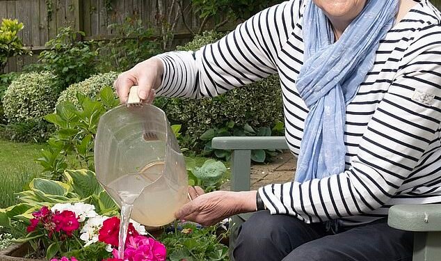 Waste not: Janice gives her flowers a drink of washing-up water. But despite her efforts to save water, she has seen her bills rise by as much as 170% since October