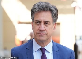 Pulling the plug: Energy secretary Ed Miliband (pictured) has withdrawn support for a 2,500-mile undersea power line which would have linked Britain with Morocco