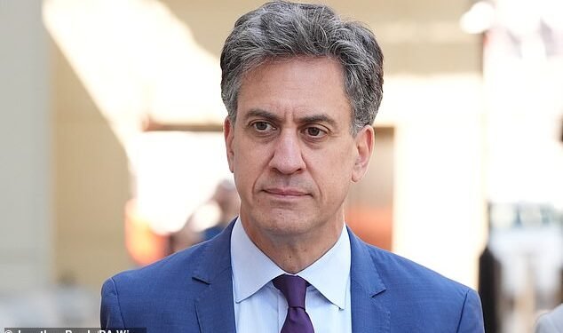 Pulling the plug: Energy secretary Ed Miliband (pictured) has withdrawn support for a 2,500-mile undersea power line which would have linked Britain with Morocco