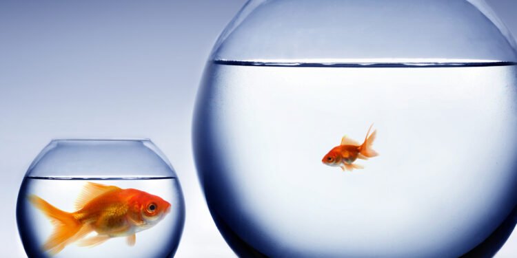 Smaller and more niche private credit funds are capitalising on the challenges facing larger players in the market.