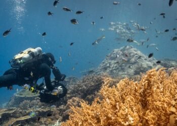 Condé Nast Traveler