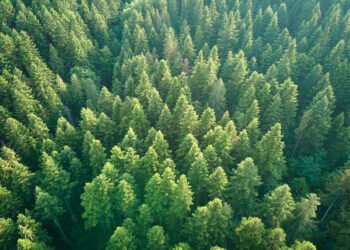 Partners Group evergreen fund hits €2bn