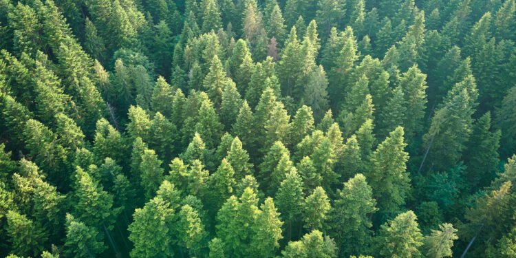 Partners Group evergreen fund hits €2bn